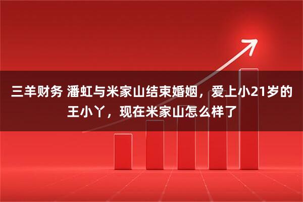 三羊财务 潘虹与米家山结束婚姻，爱上小21岁的王小丫，现在米家山怎么样了