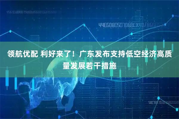 领航优配 利好来了！广东发布支持低空经济高质量发展若干措施